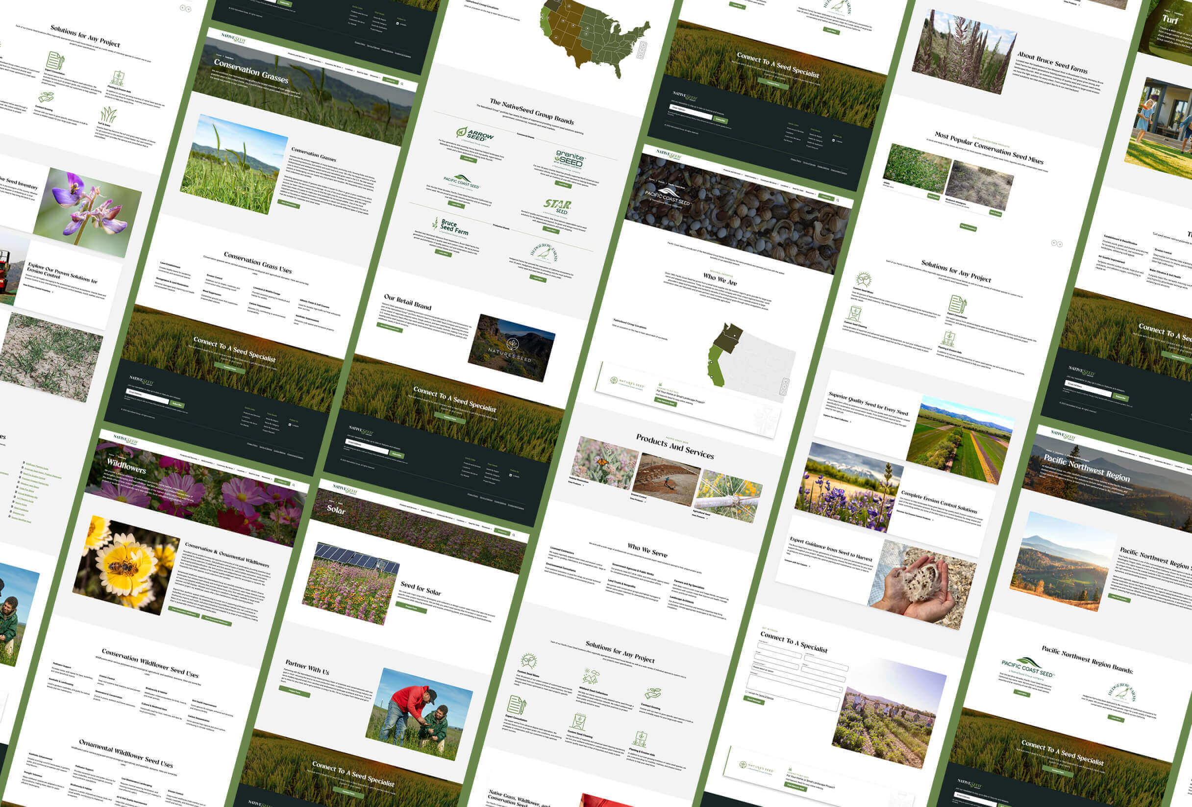 NativeSeed Group Website